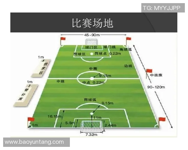 裁判对足球明星表现的专业评价与分析技巧探讨