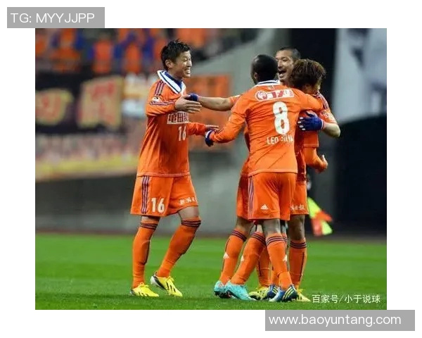 新泻天鹅迎战冈山绿雉期待精彩对决展现足球魅力与团队精神